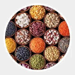Seeds