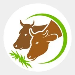 Cattle Supplement