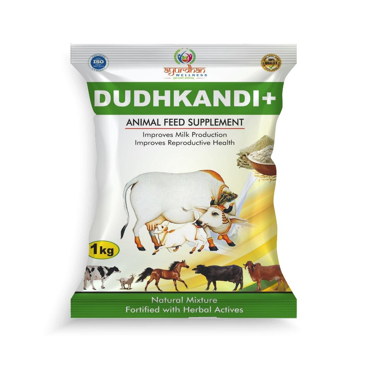 Dudhkandi Plus