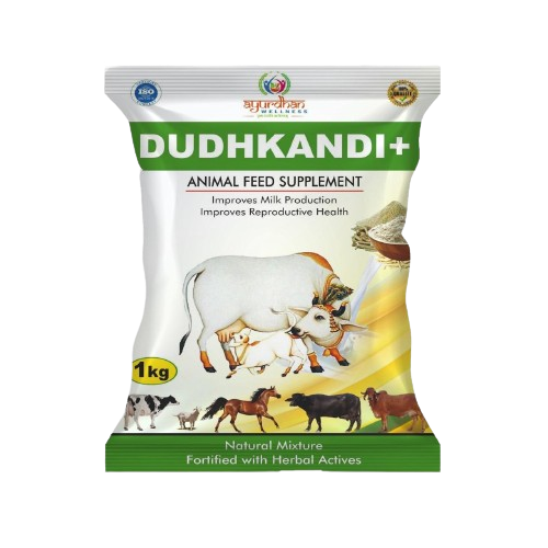 Dudhkandi+